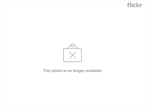 BostonSOS No Pants 2009