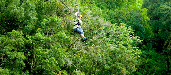 zipline-jungle